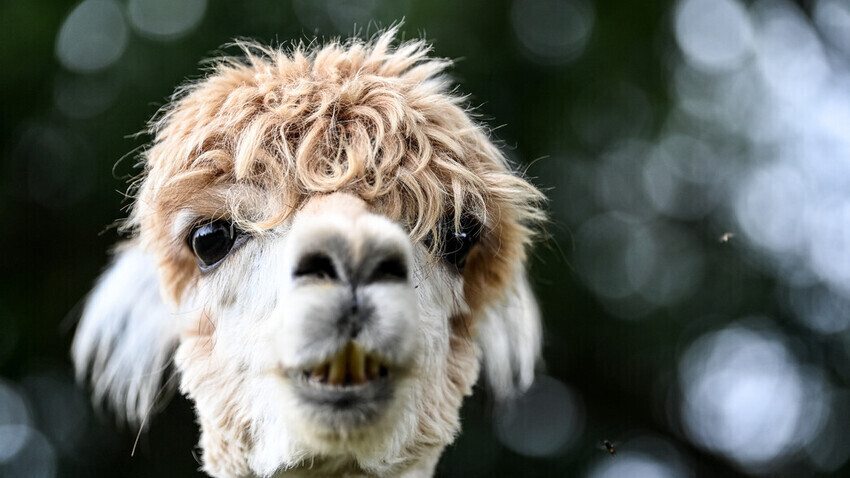 Britta Pedersen/ZB / Global Look Press