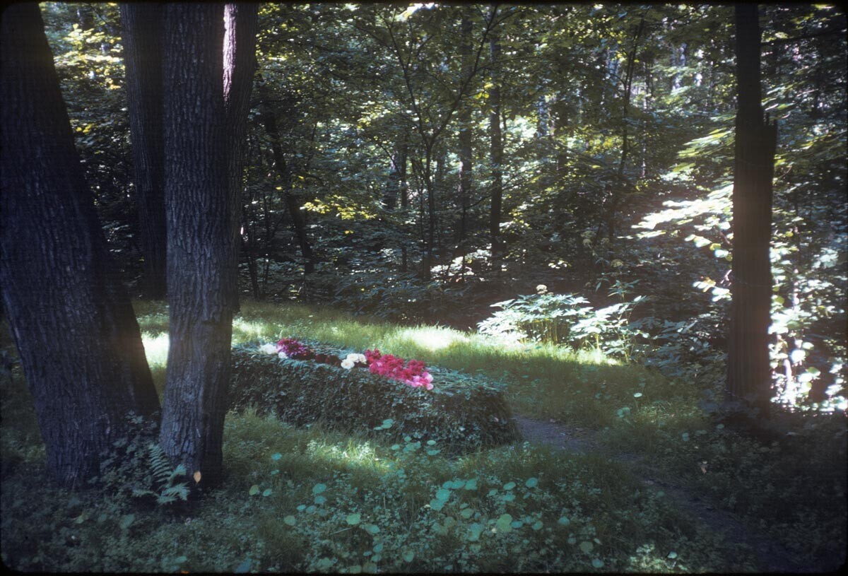 Jasna Poljana. Tolstojev grob. 28. julij 1970
