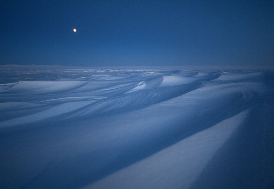 Tundra na escuridão de uma longa noite de inverno
