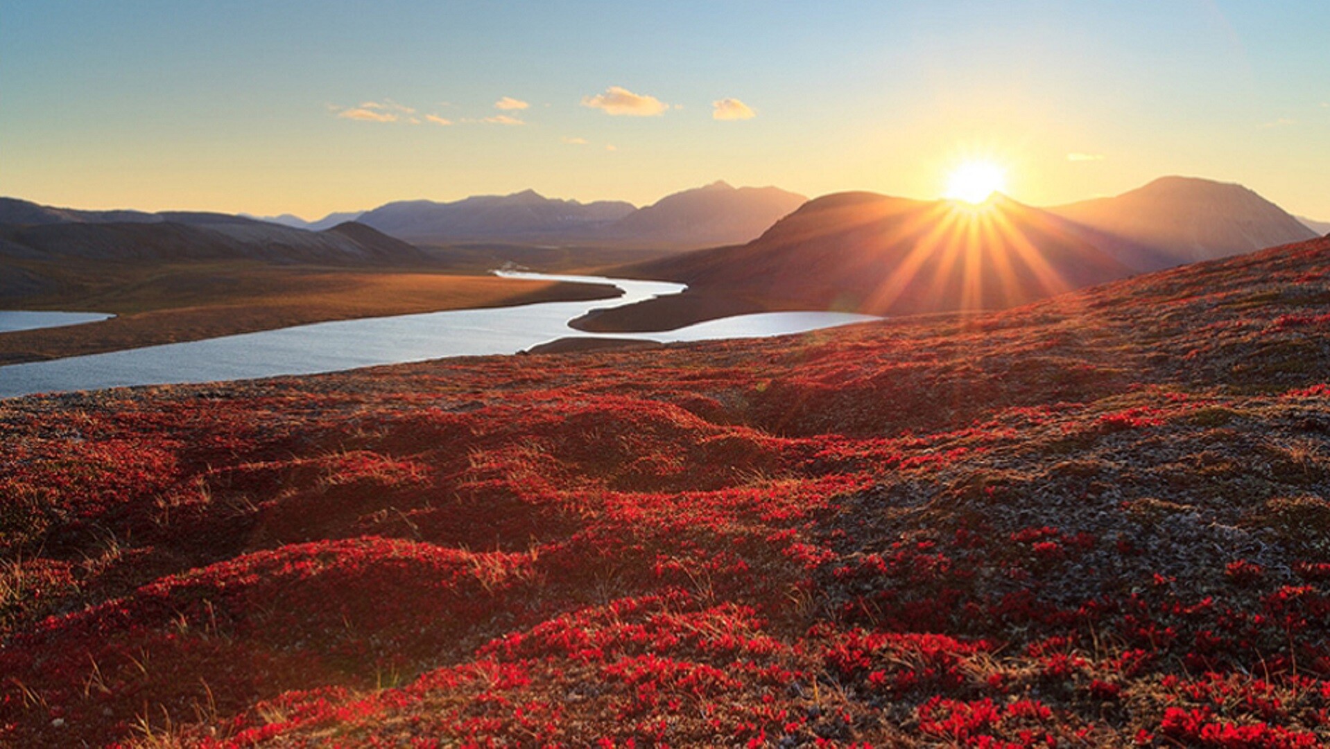 Andrei Stepanov/stan-d-art.ru