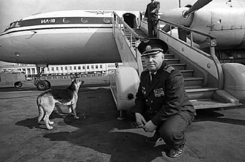 Palma na aerodromu Vnukovo 