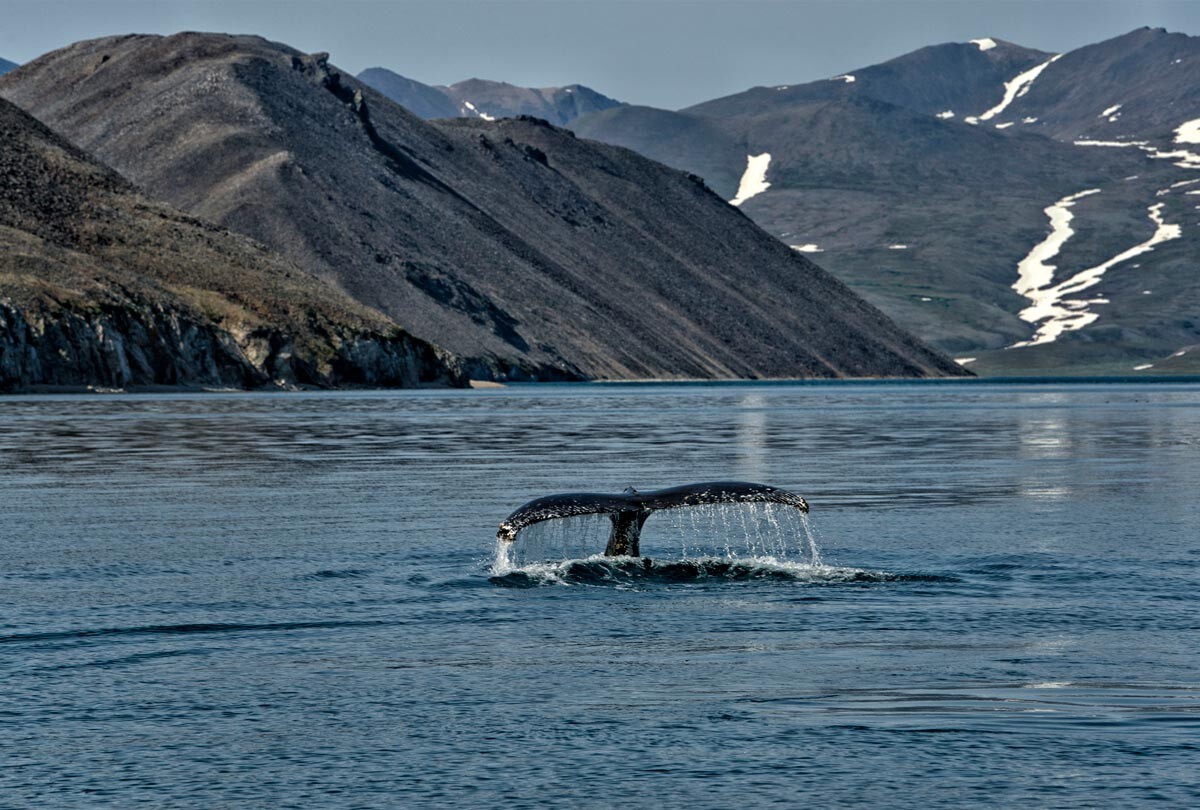 The charm of the pristine nature of Beringia National Park