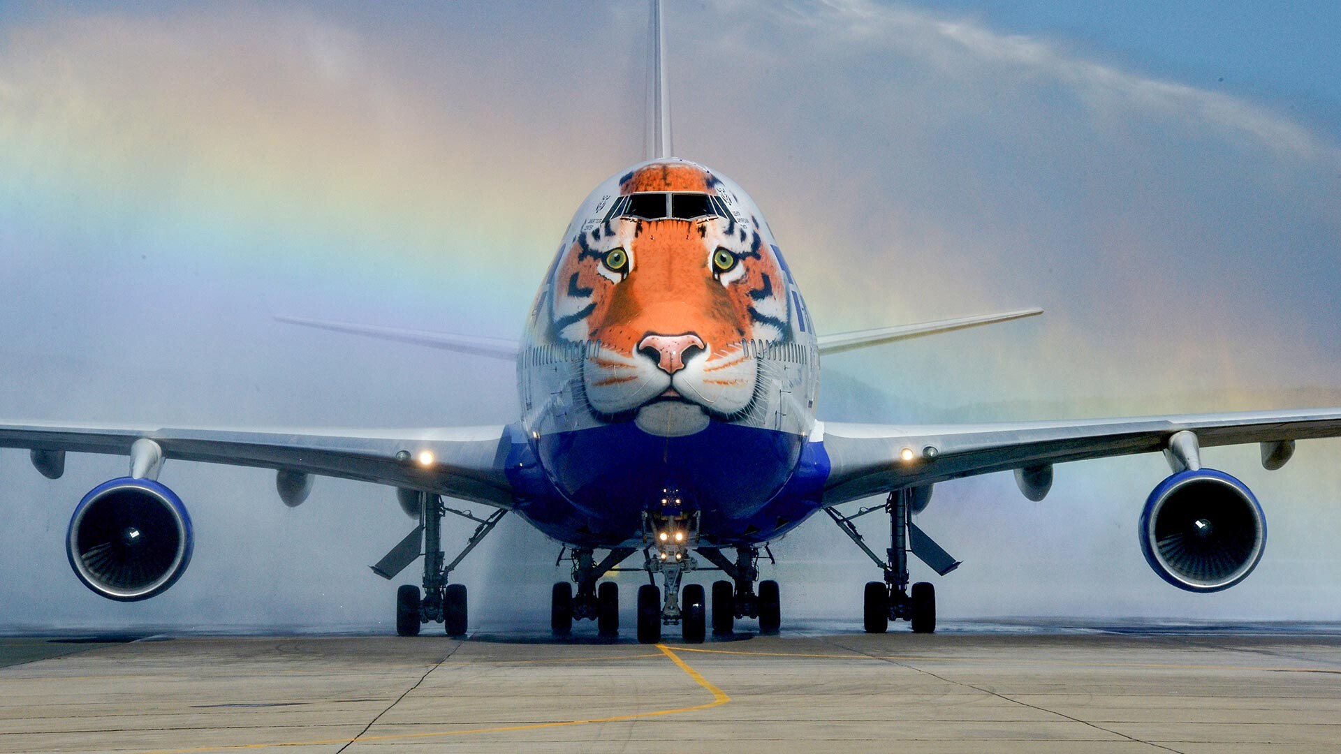 Un Boeing 747 de la compagnie russe Transaero décoré à l'occasion de la Journée du tigre de l'Amour, dans la région du Primorié, en Extrême-Orient russe 