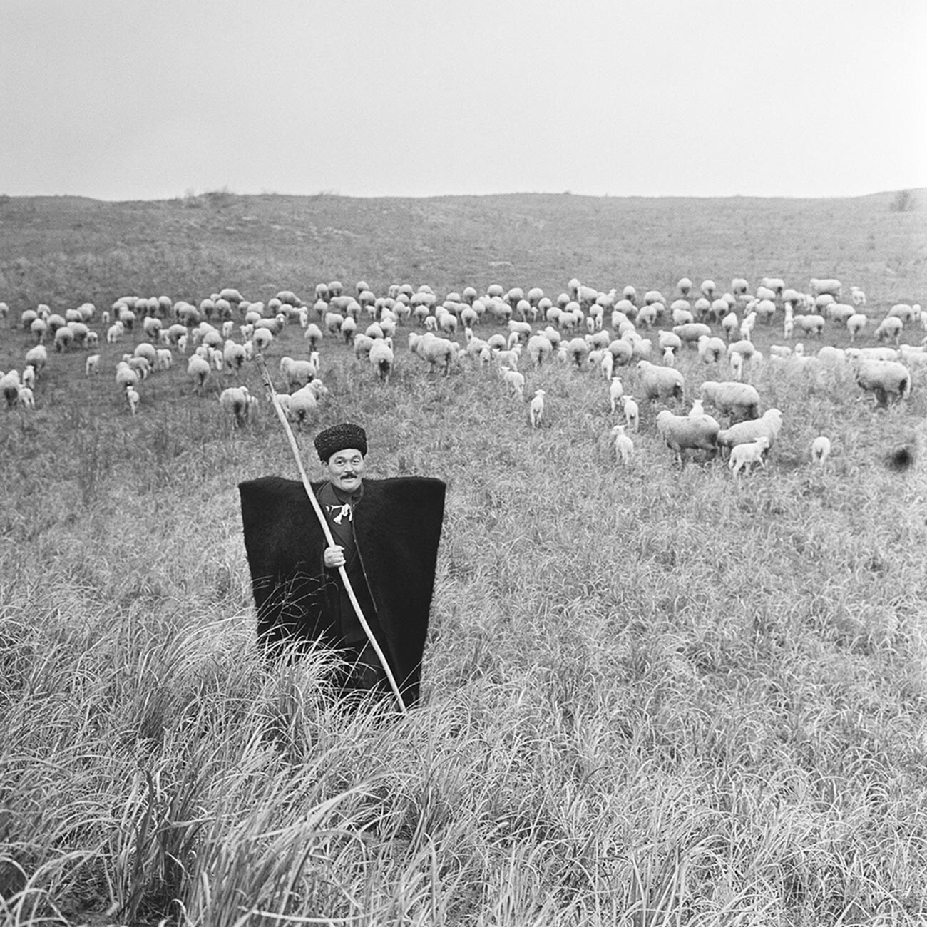 A Soviet shepherd, 1960s