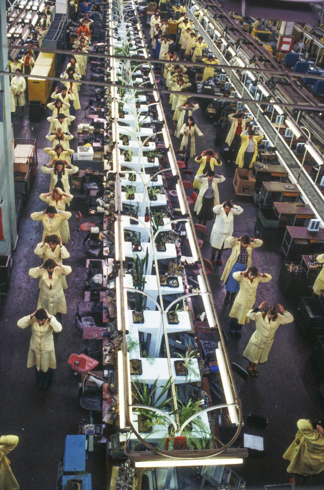 Ginnastica in fabbrica, 1982