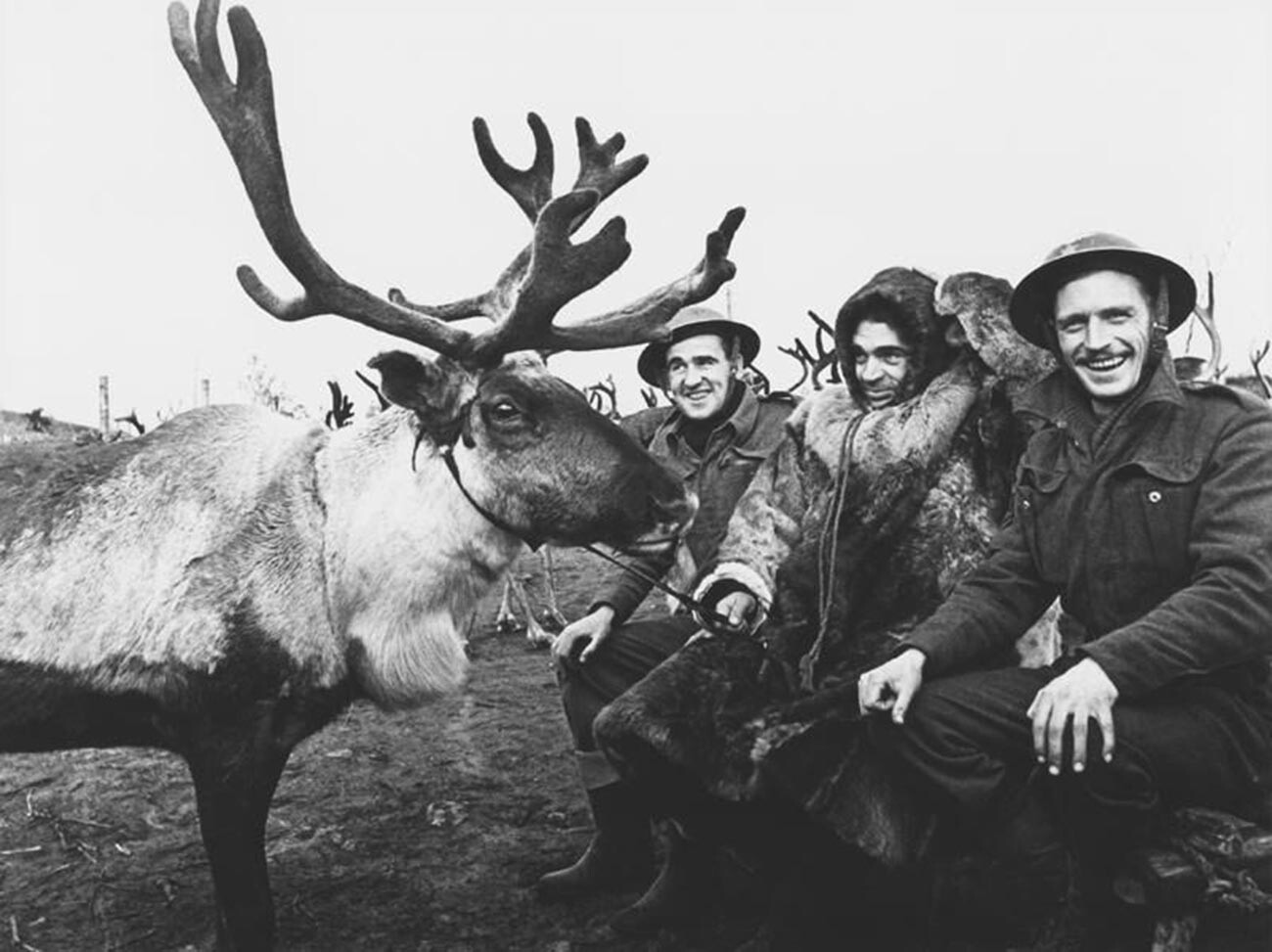 Un éleveur de rennes soviétique avec des mécaniciens d'aviation britanniques sur l'un des aérodromes situés dans l'Arctique.
