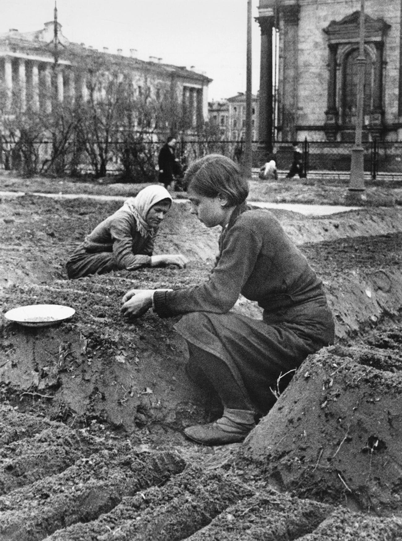 Des femmes soviétiques plantent des légumes en plein centre de la ville près de la cathédrale Saint-Isaac – les Allemands ne l'ont pas bombardé, car il servait d'orientation à leurs avions de chasse