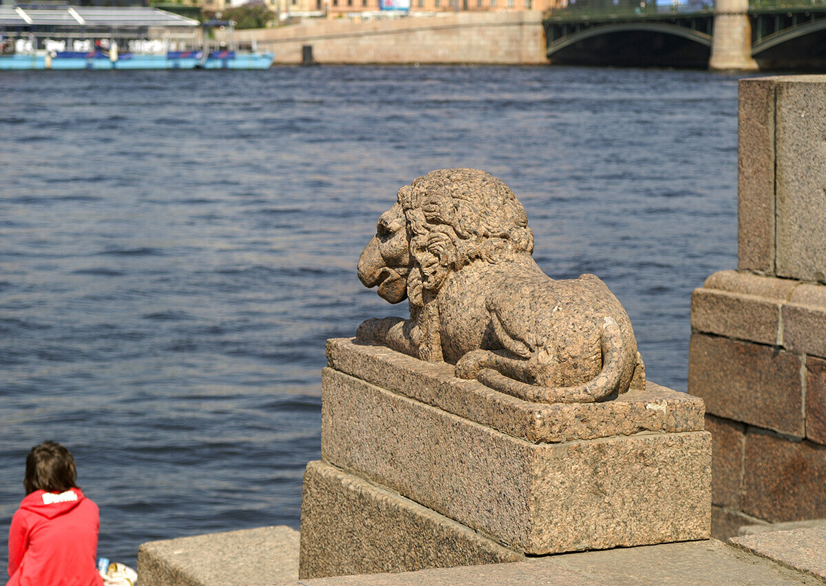 Apreciando o rio Nevá com um leão ao lado