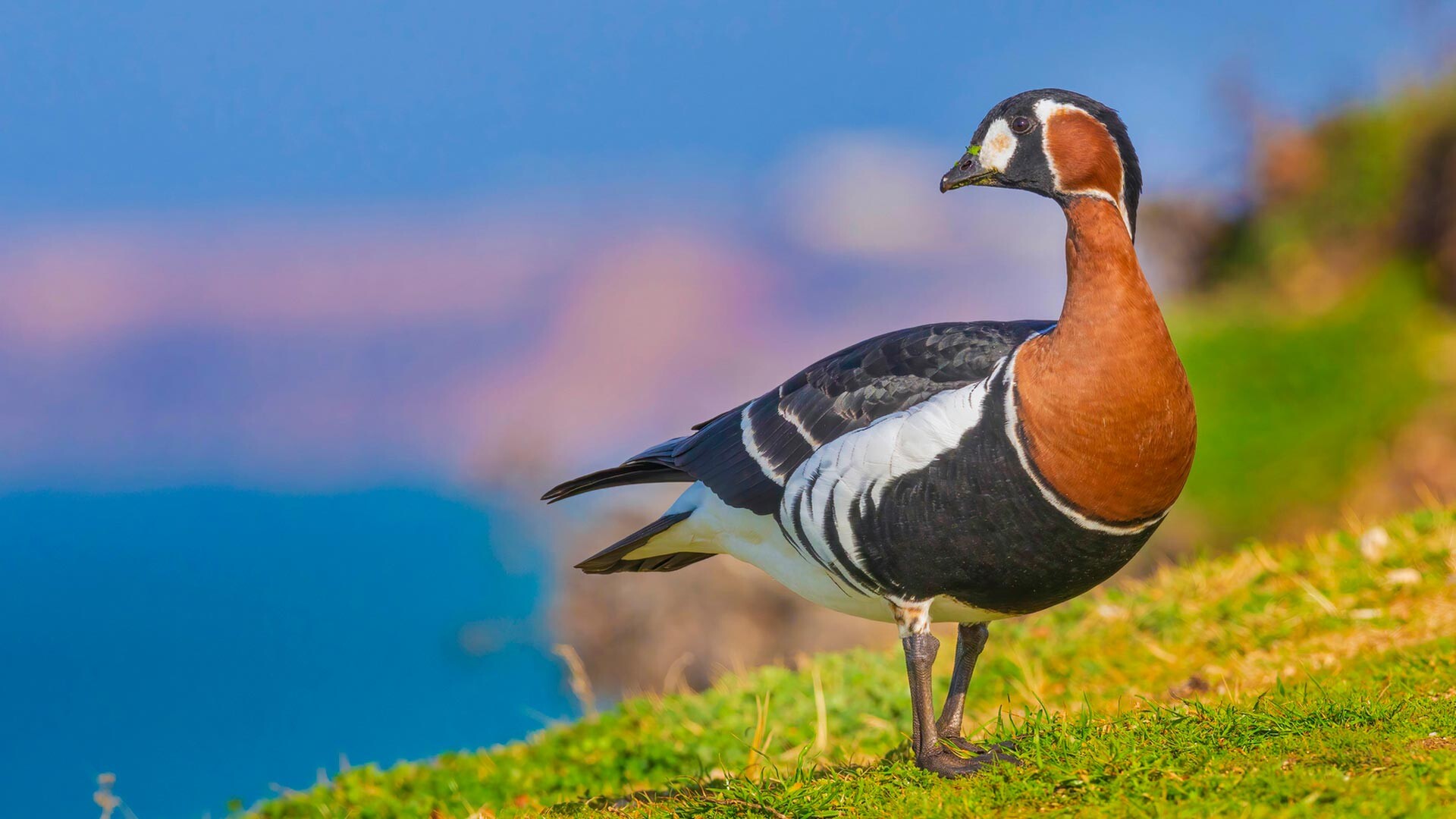 Yegor Vlasov/Courtesy of the nature festival ‘Pristine Russia’