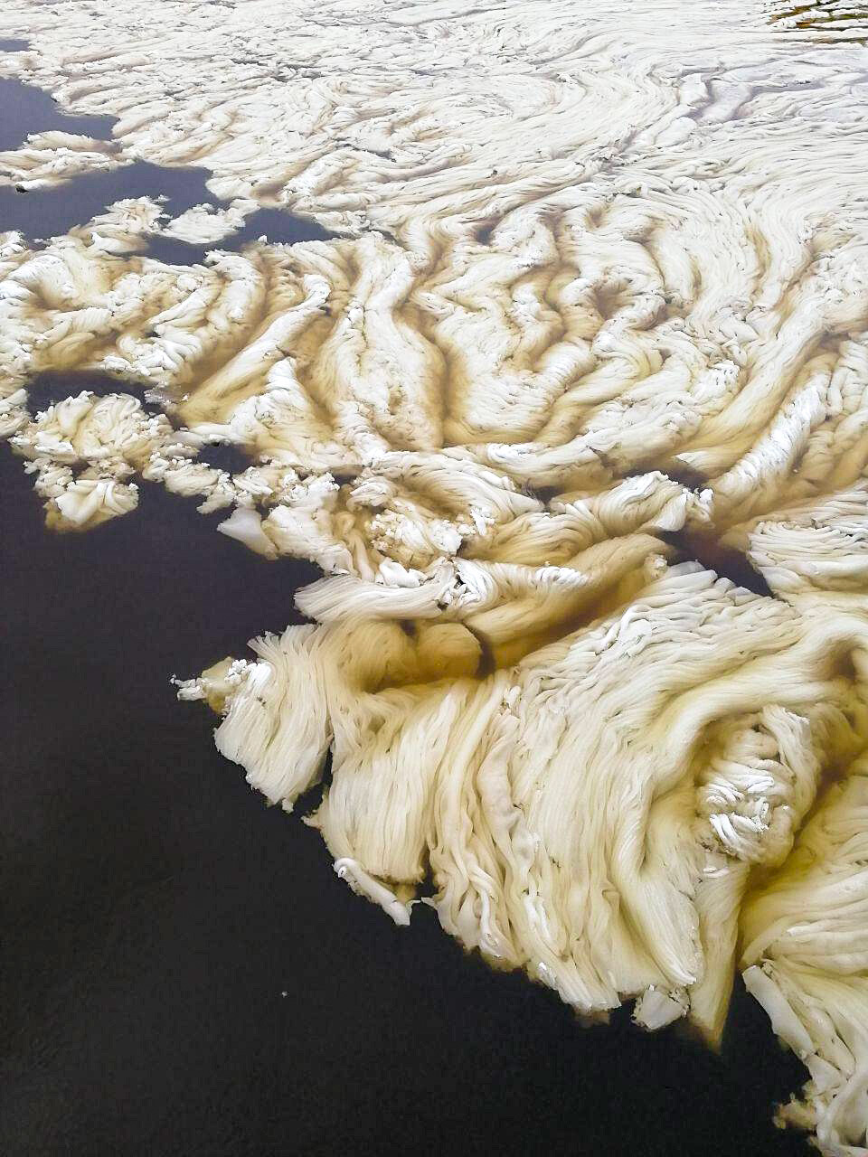 En images: le phénomène rare du «lard de glace» apparaît à Saint-Pétersbourg