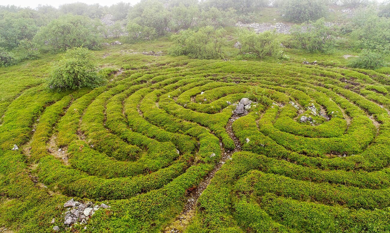 Sebuah labirin di Pulau Bolshoi Zayatsky.