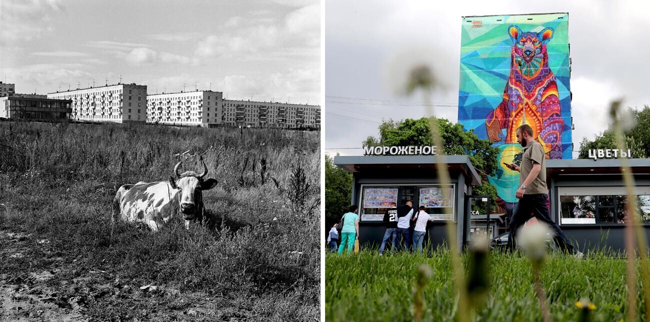 Links: Eine Kuh im Dorf Beljajewo-Bogorodskoje, 1968; Rechts: Ein 30 Meter langes Graffiti zur FIFA-Meisterschaft 2018 an der Profsojusnaja-Straße.