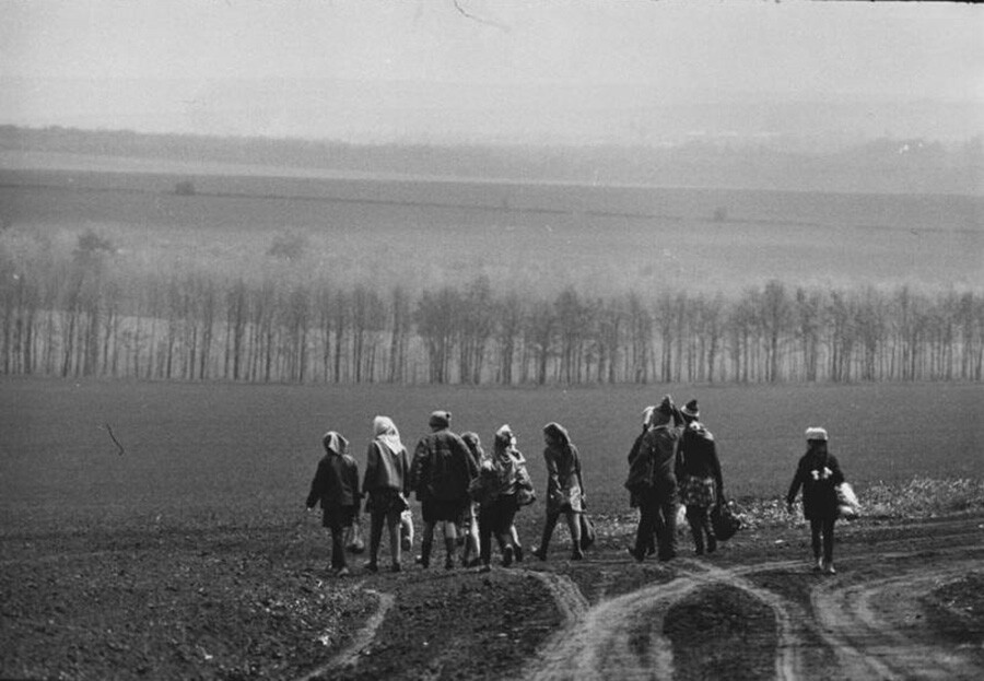 Frühling auf dem Feld. 