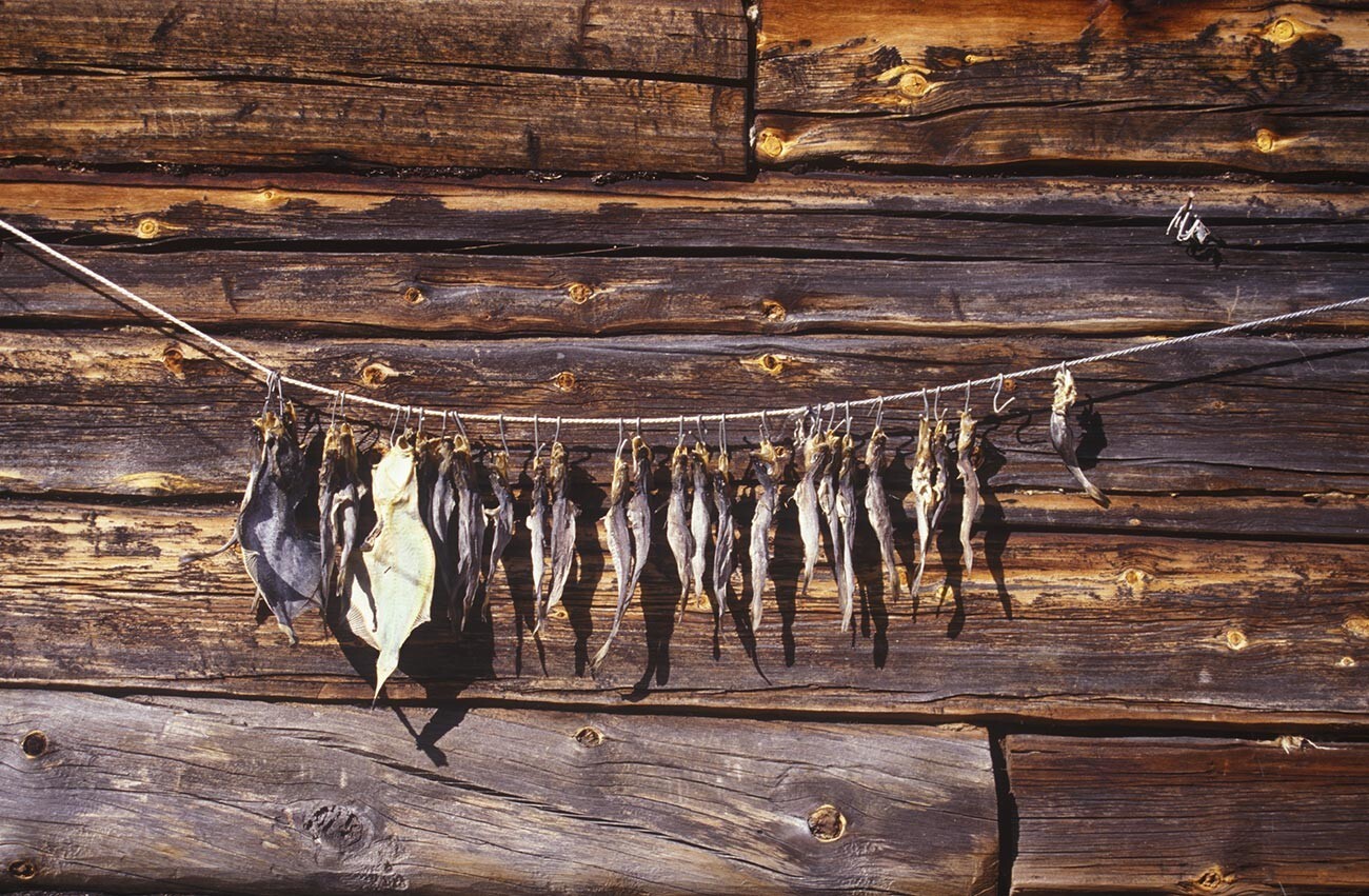 Kovda. Pescado secándose en un lado de la casa de madera. 24 de julio de 2001