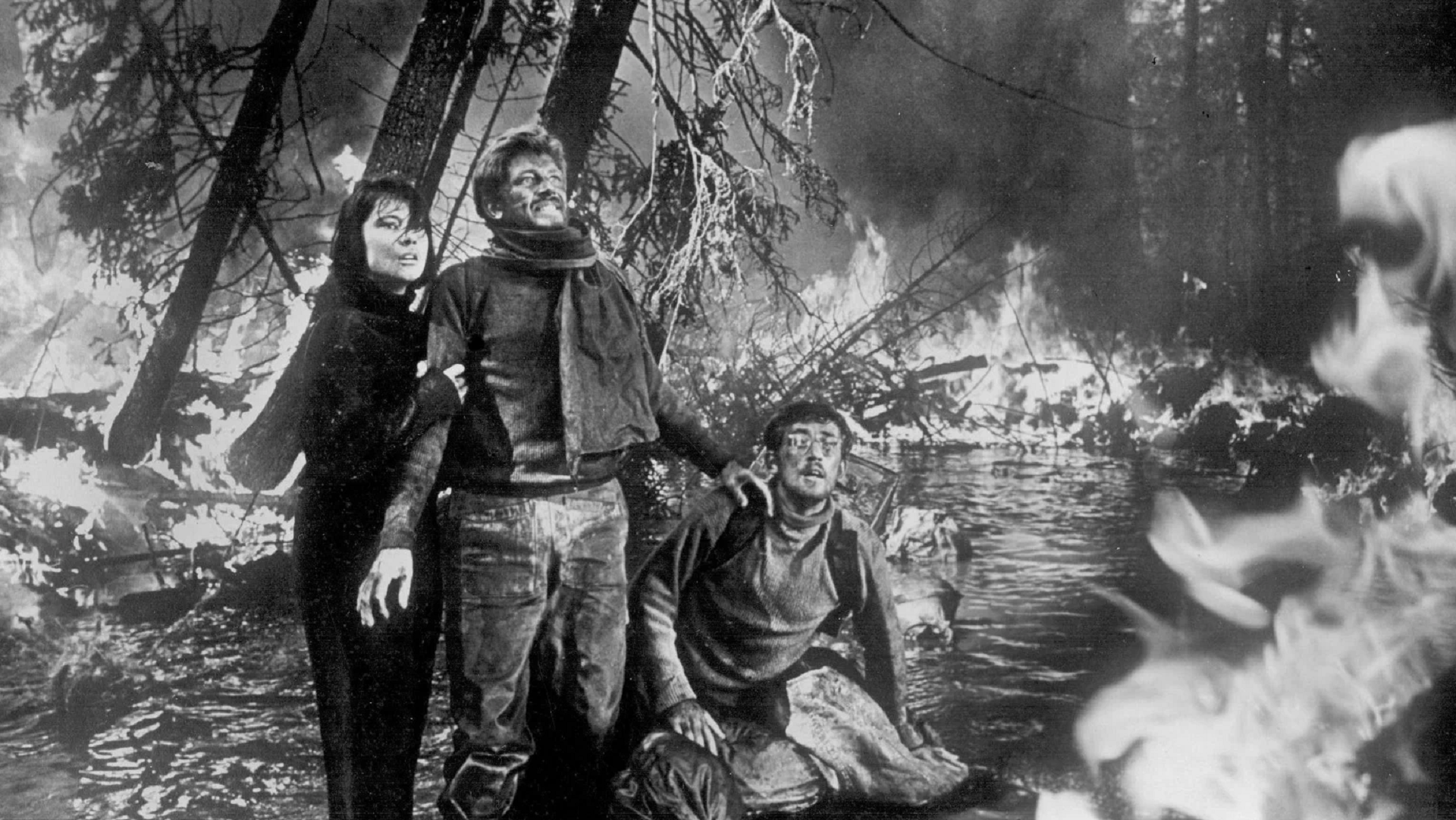 Mikhail Kalatozov/Mosfilm, 1959