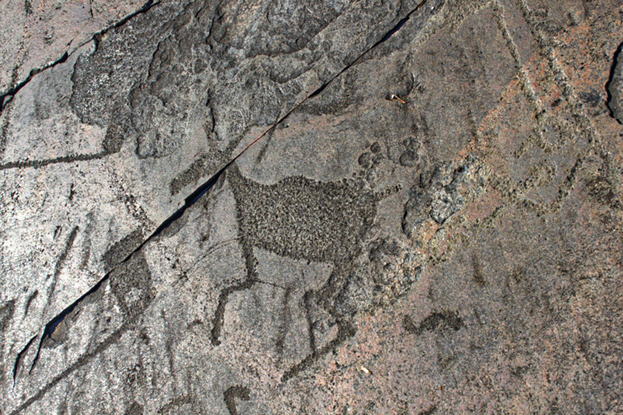 Petroglifo de um cervo.