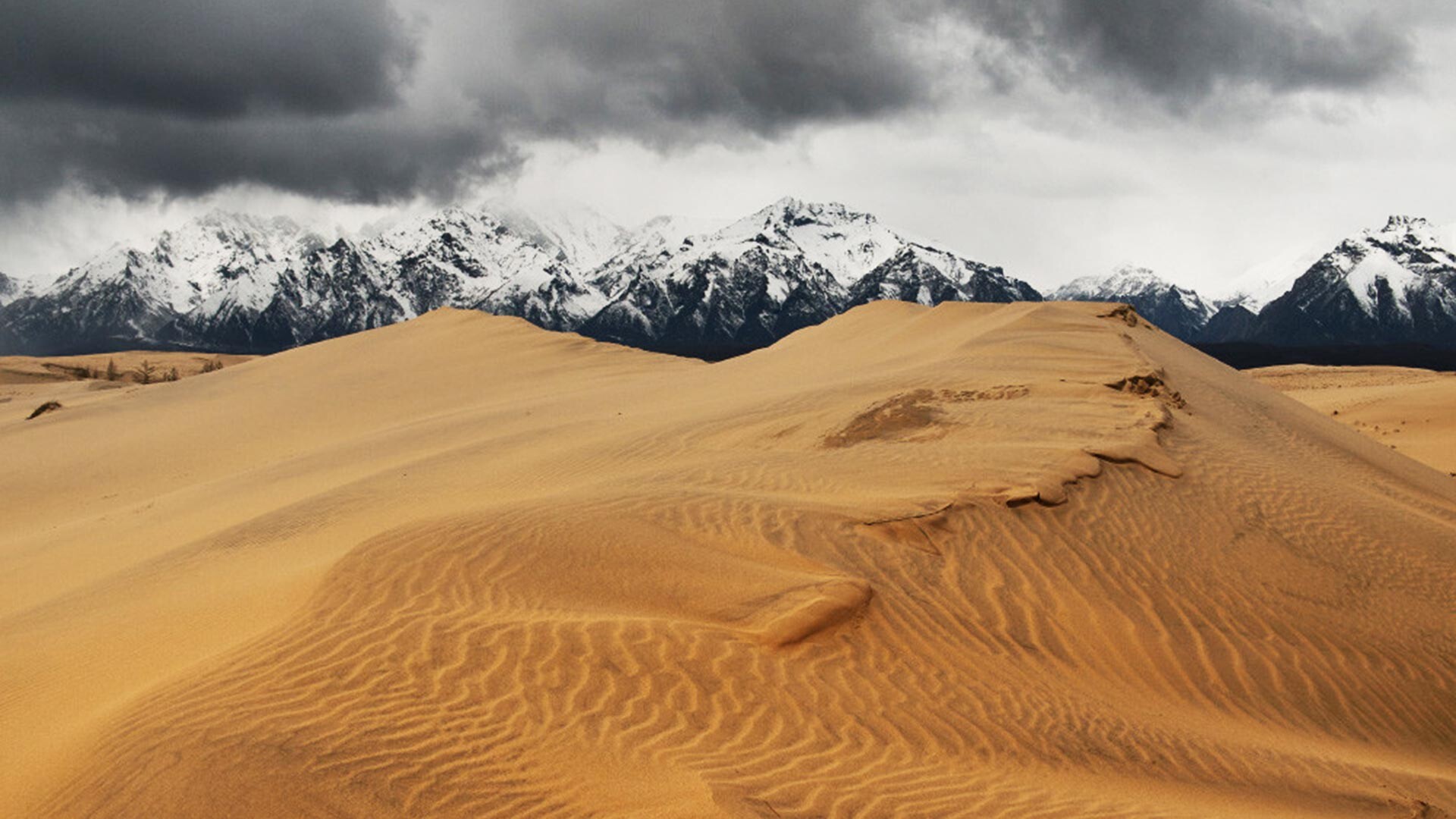 New desert. Пустыня Чарские Пески России. Пустыня Чара Забайкальский край. Чарские Пески Забайкальский край. Пустыня Чарские Пески, Забайкальский край.