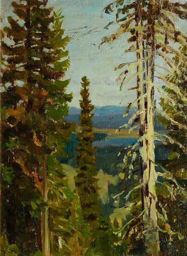Hutan di Gunung Blagodat. Ural Tengah (1890-an)