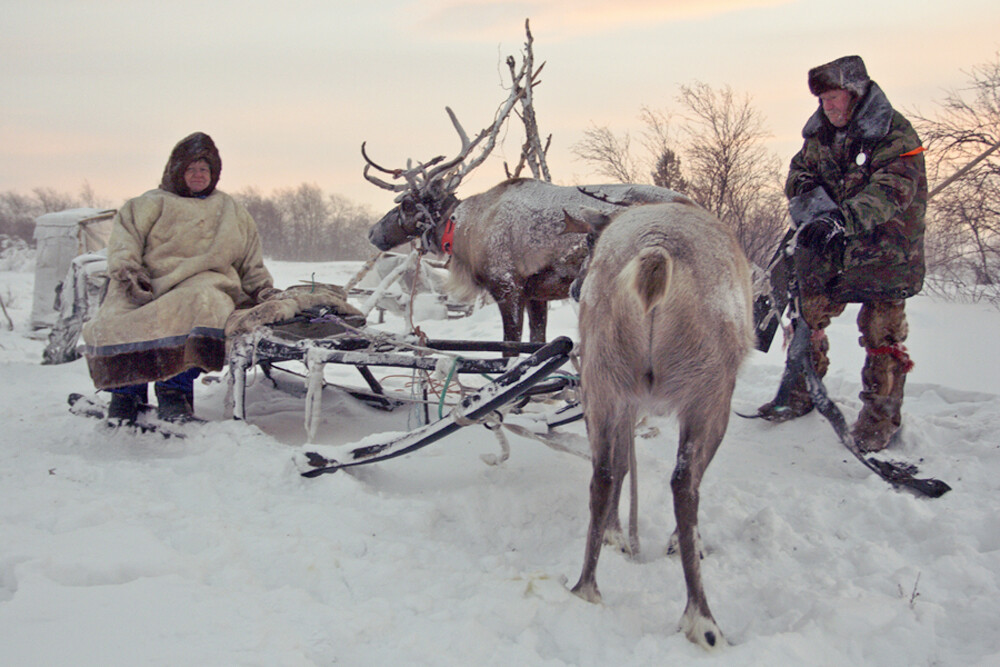 Les éleveurs de rennes de la péninsule de Kola, en Russie, luttent dans la solitude contre la nuit polaire, le vent et la fatigue. La lumière du jour disparaît ici entièrement du 10 décembre au 3 janvier.

