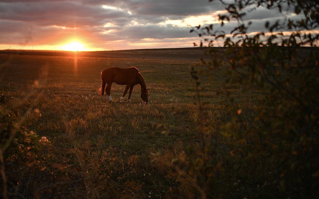 pictorial essay sunset