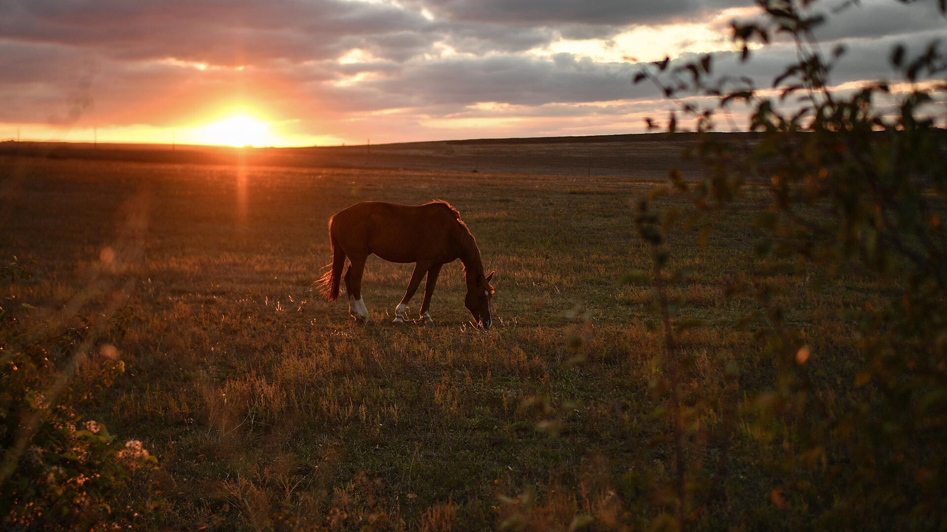 Constantin Mikhalchevski / Sputnik