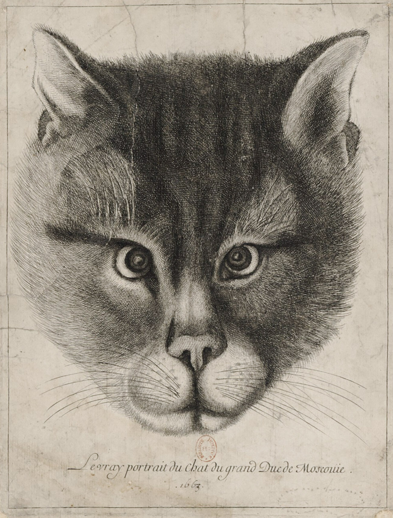 Vaclav Hollar. Gambar Kucing Pangeran Agung Moscovia