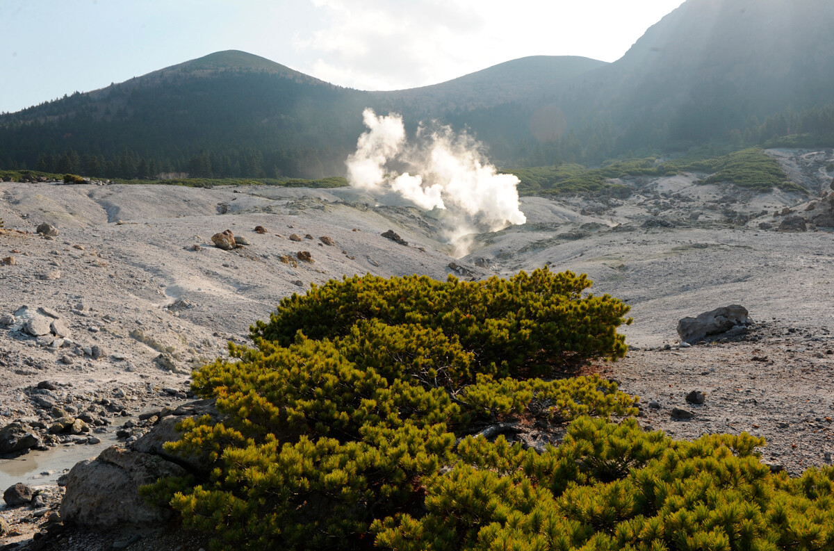Фумарольные поля вулкана Менделеева на острове Кунашир