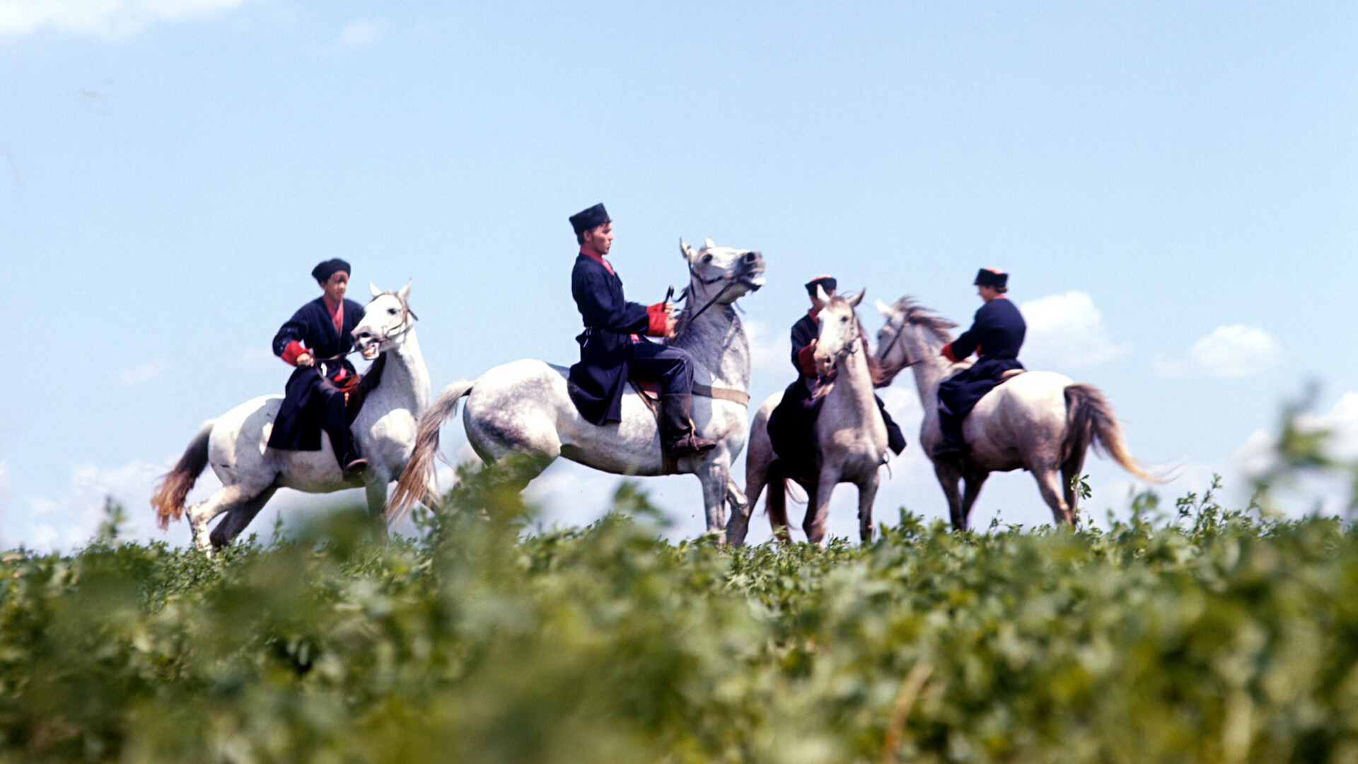 Cossacos de Kuban, 1979.
