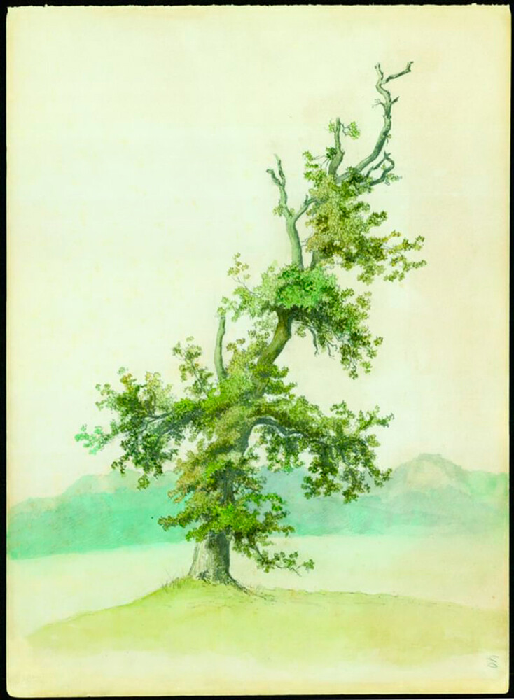 Vieil arbre, années 1860