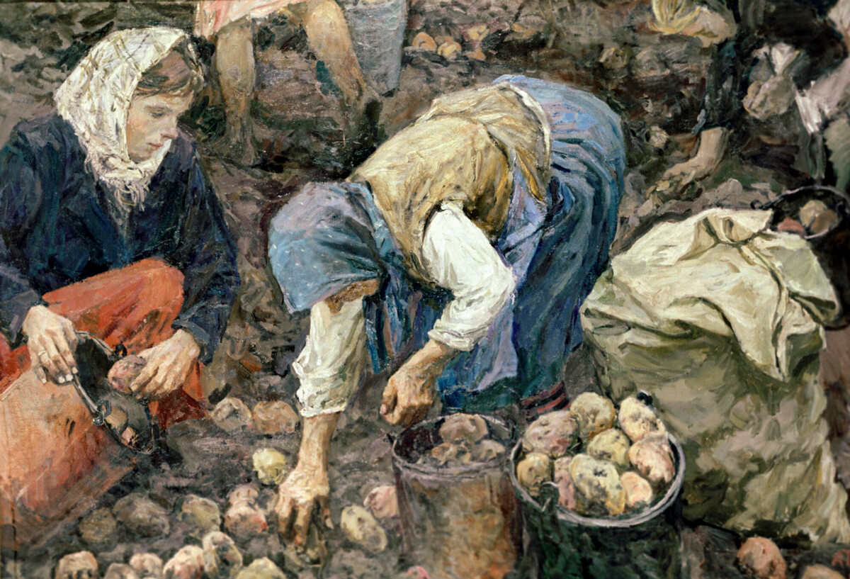 Беритба на картофи, Аркадий Пластов, 1957 г.