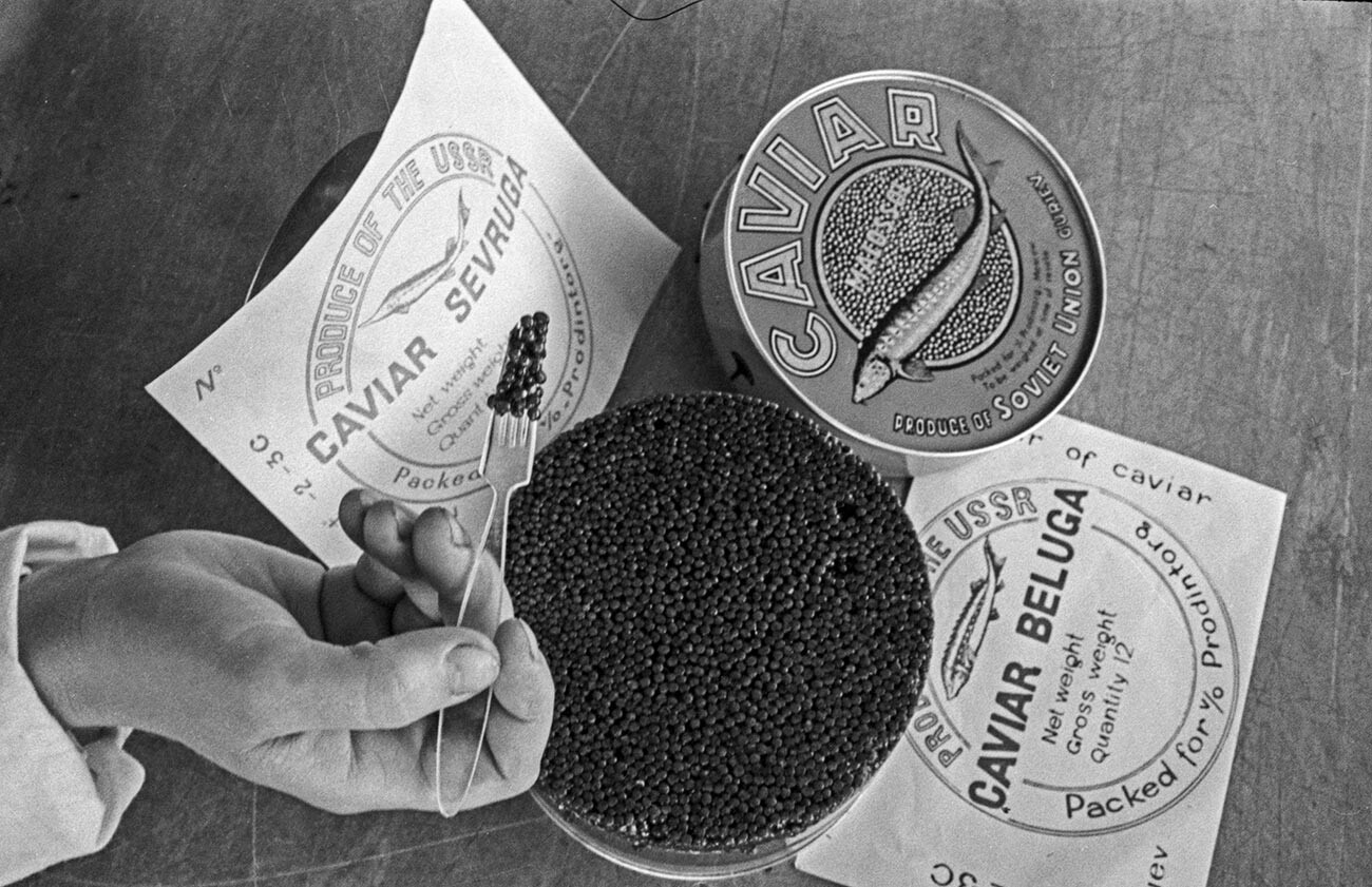 Caviar de esturjão-beluga
