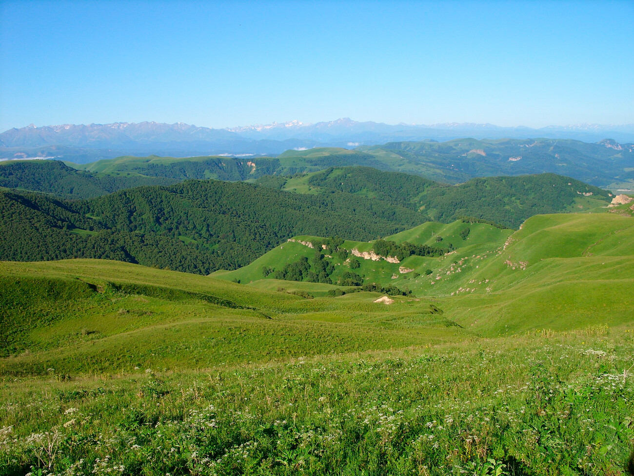 Домбай: как летом выглядит популярный горнолыжный курорт (ФОТО) - Узнай  Россию