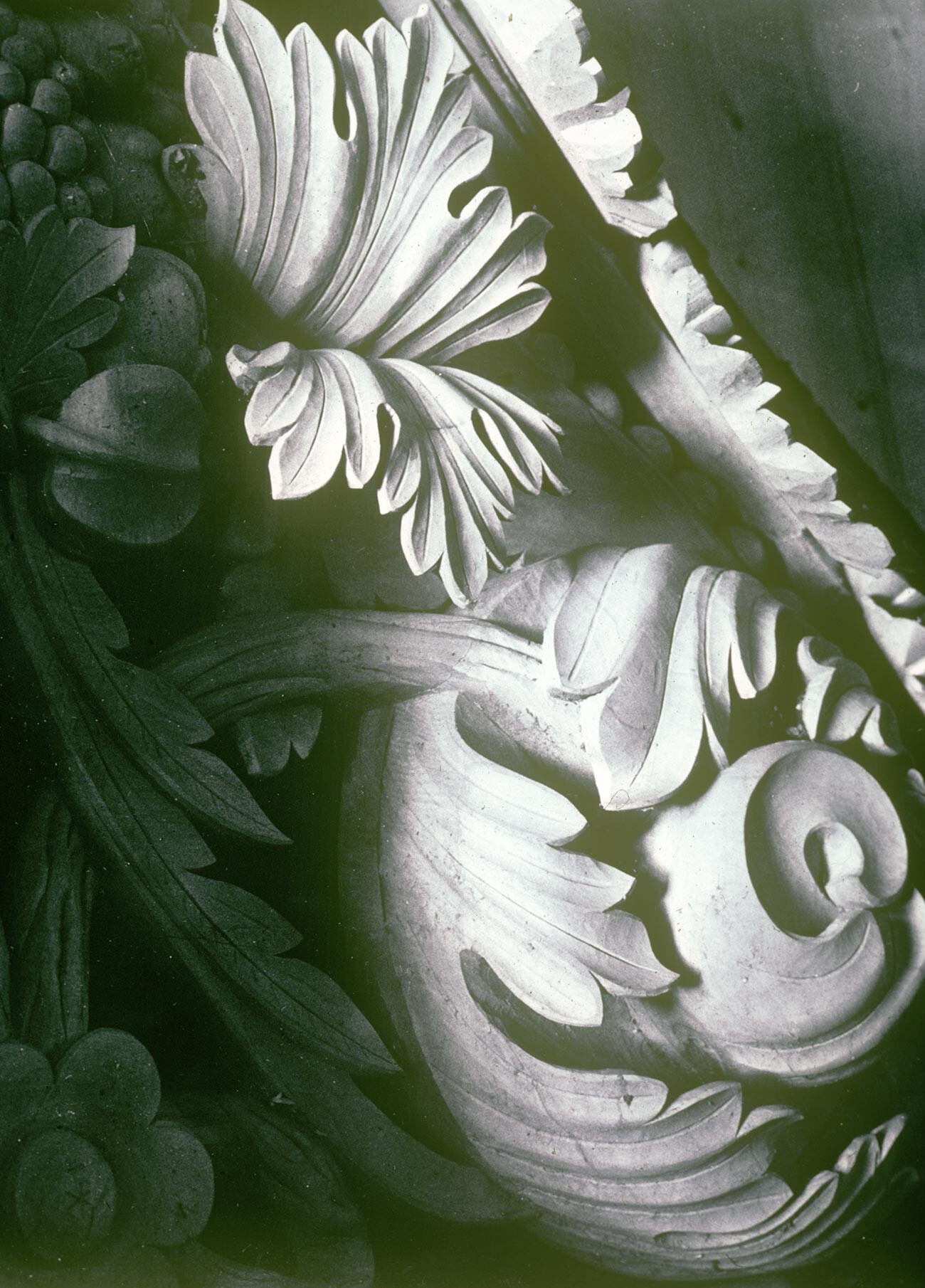 Troïtse-Lykovo, le 2 mai 1980. Fragment d'un nouvel élément en bois sculpté pour la restauration de l’iconostase d'origine