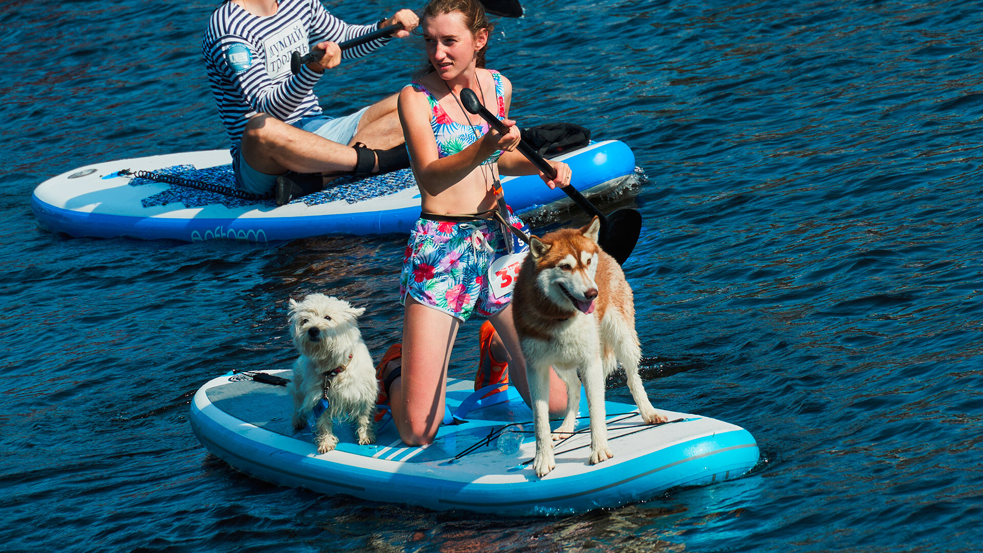 Alexéi Danichev/Sputnik