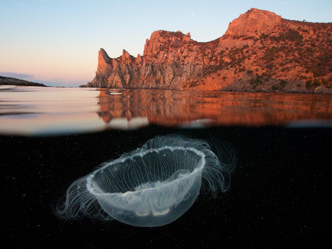 「ミズクラゲ」―エゴル・ニキフォロフ。山々に囲まれたクラゲの写真が、「水中の世界」カテゴリーで受賞