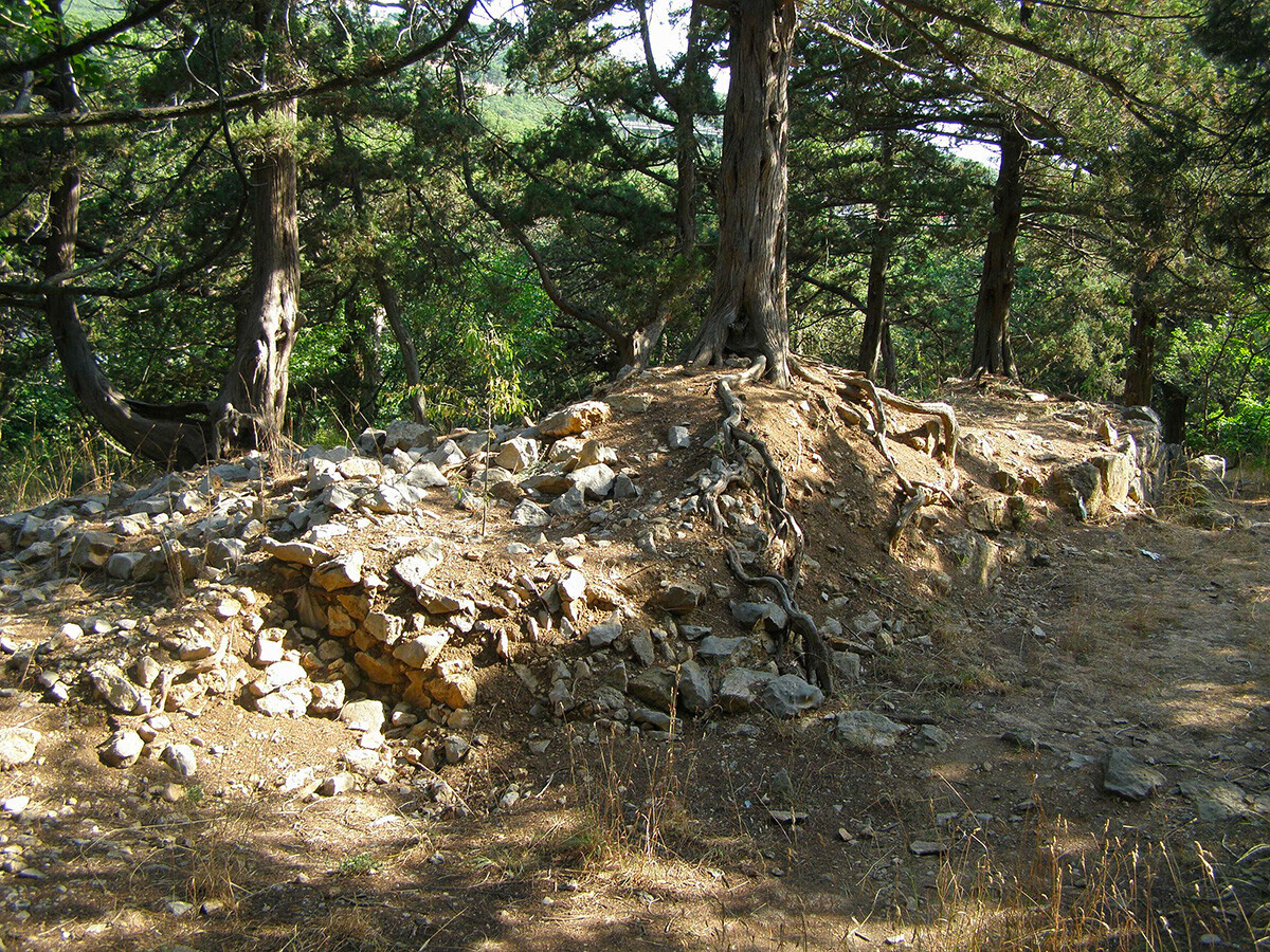 Урнатините на тврдината Харакс (веројатно дел од горниот одбранбен ѕид).

