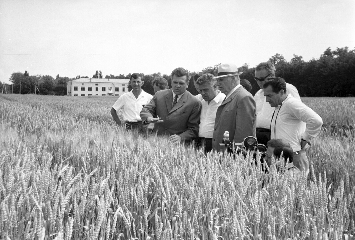 Мађарска делегација на челу са министром пољопривреде Иштваном Георгијем на експерименталном пољу Краснодарског истраживачког института за пољопривреду.