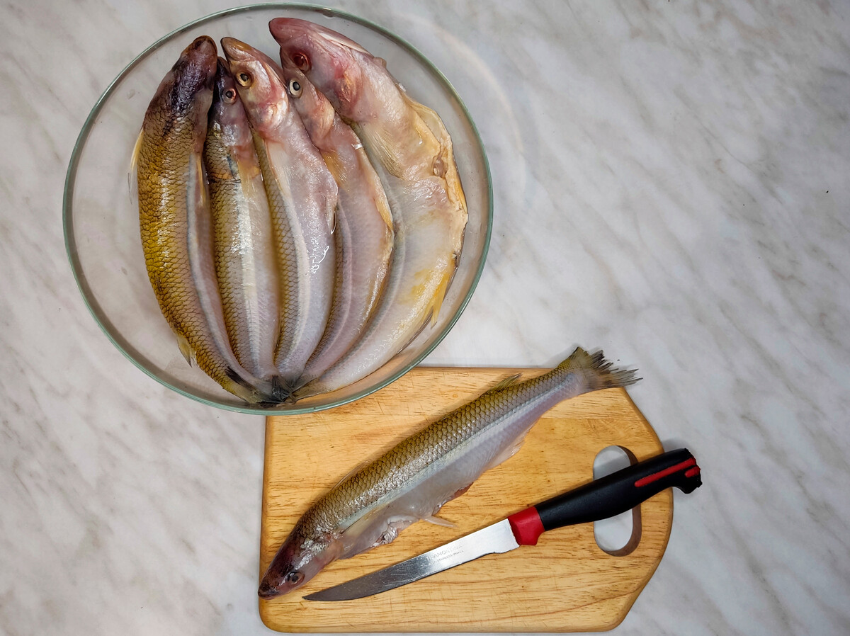 Soupe Potemkine: une perle culinaire inspirée du favori de Catherine la Grande