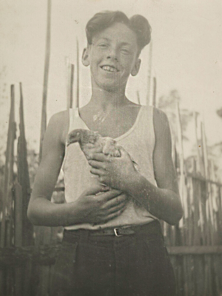 Дечак и голуб, 1940-их година