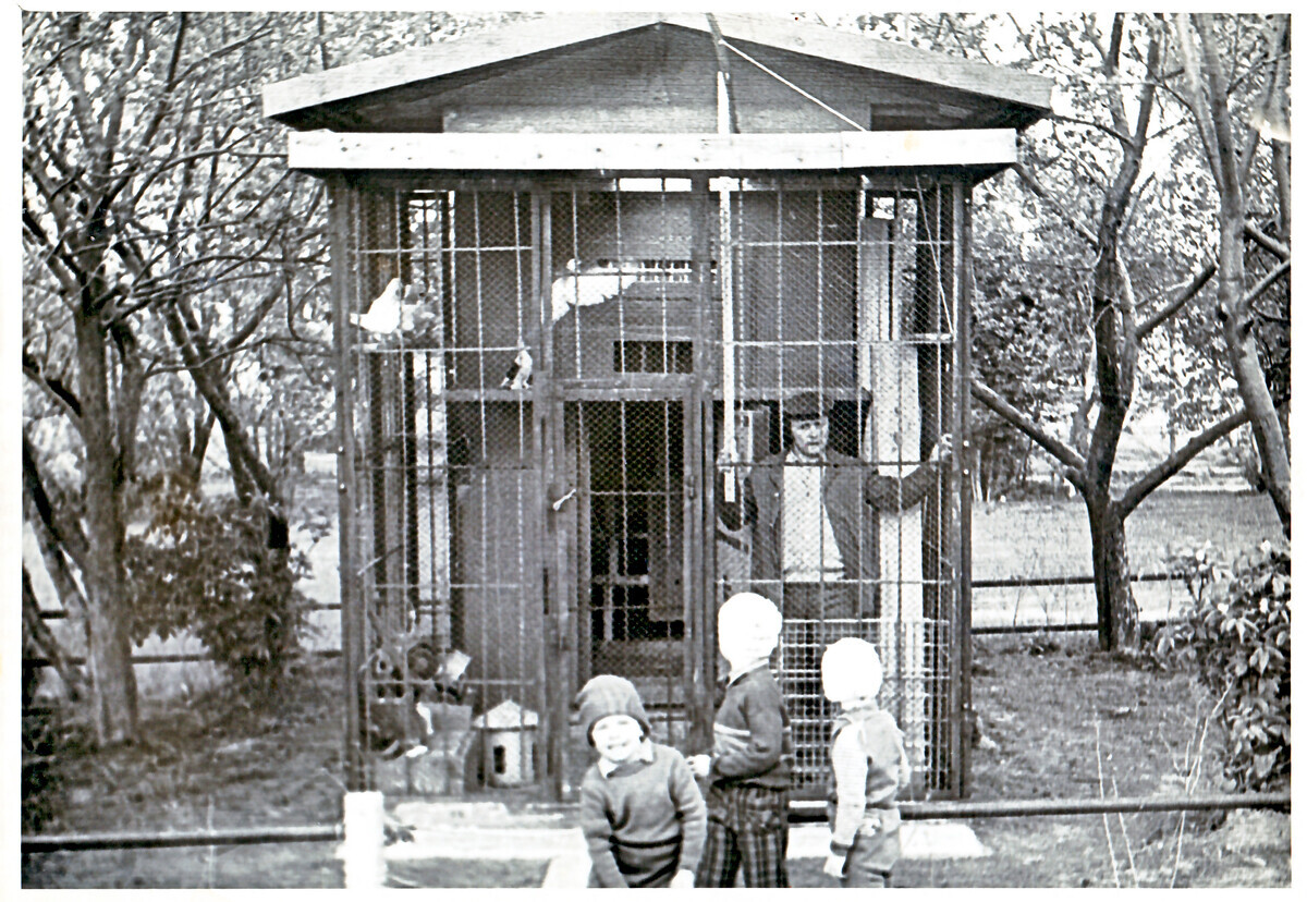 Golubarnik na ulici Tvardovskog, Moskva, 1985.