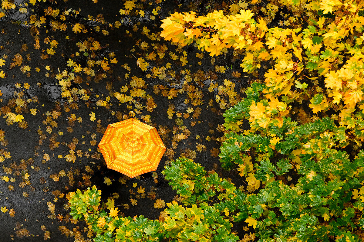 Жена се крие от дъжда под чадър, докато се разхожда в есенен ден в Москва на 3 октомври 2022 г.
