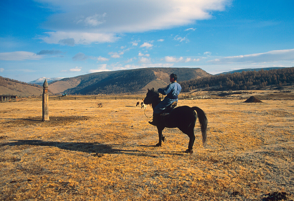 Orang Tuva Okinsky (Soyot), orang nomaden peternak sapi, di Distrik Okinsky, Buryatia.