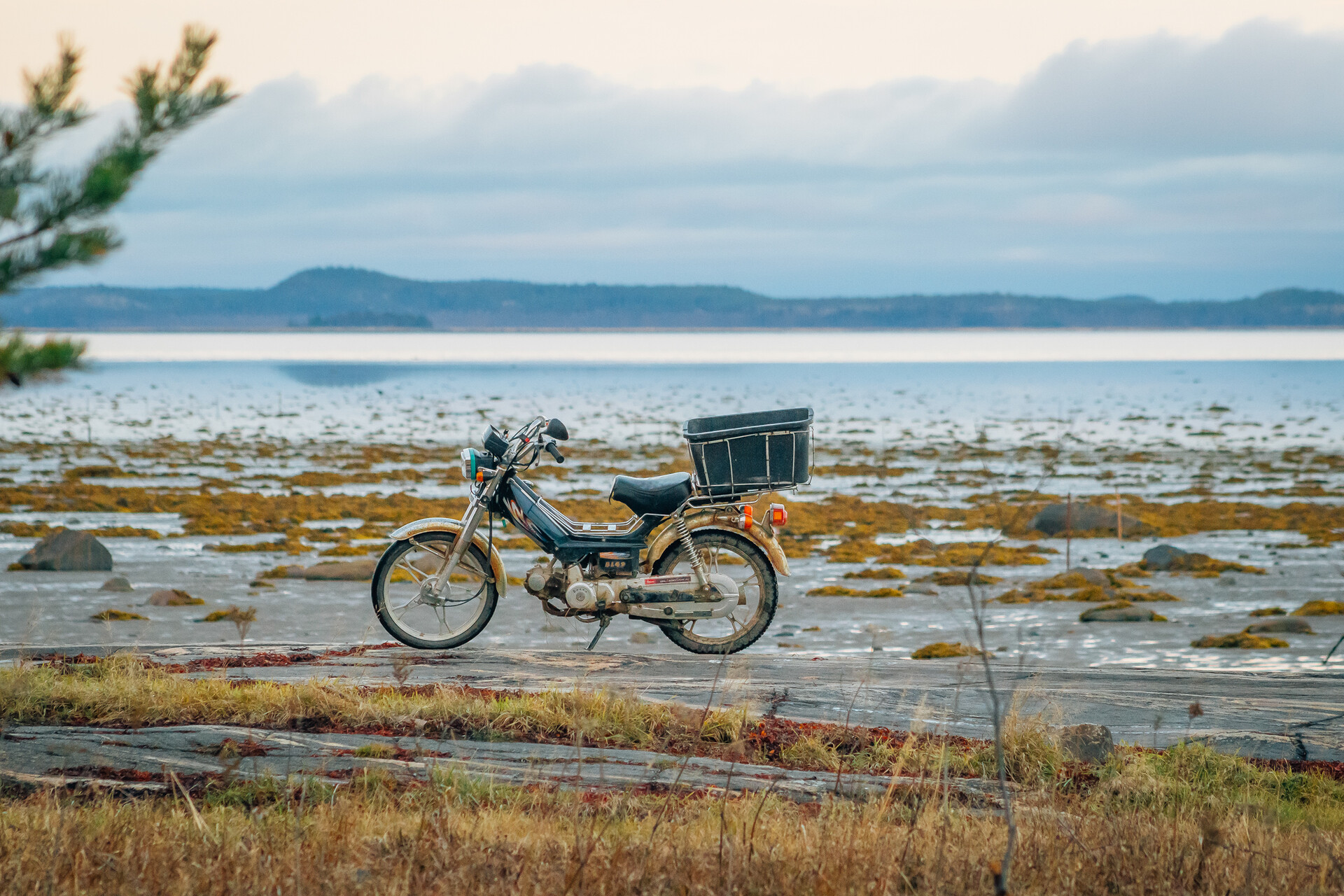  Отлив на Бяло море 