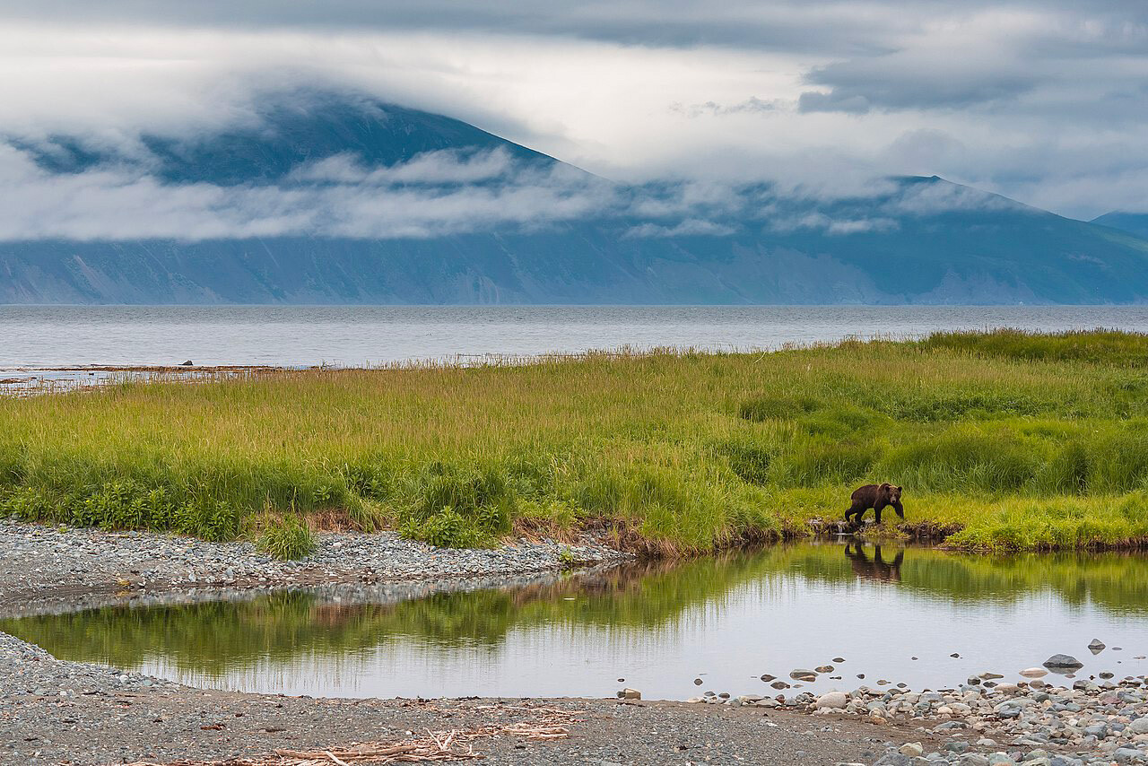 Zone d'Ola de la réserve naturelle de Magadan 