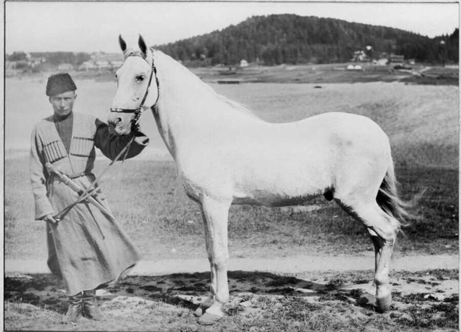 Stallion Osman, diambil saat jatuhnya Plevna, selama perang Rusia-Turki 1878 - 1885