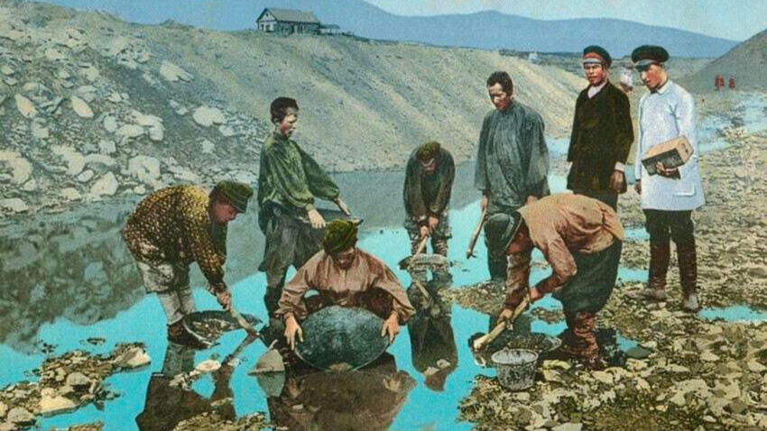 МАММ/МДФ