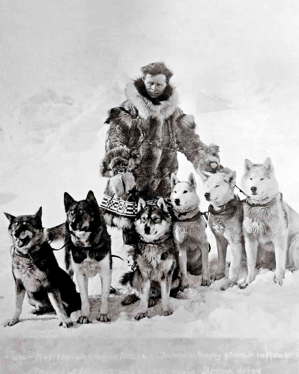 Leonard Seppala con perros (el perro Togo a la izquierda)