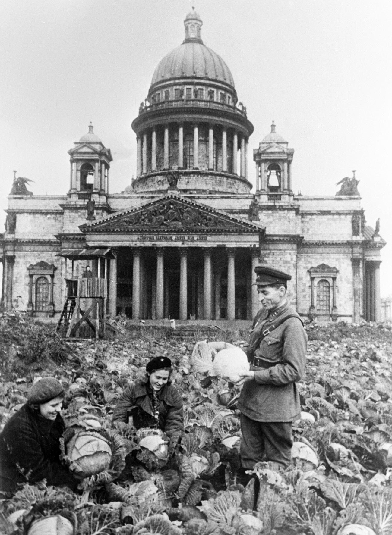Blocus de Leningrad. Récolte des choux dans le potager aménagé près de la cathédrale Saint-Isaac 