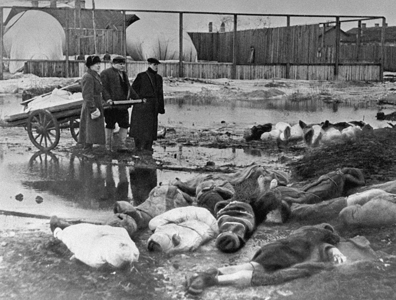 Hombres entierran a los que murieron durante el sitio de Leningrado. Cementerio de Volkovo