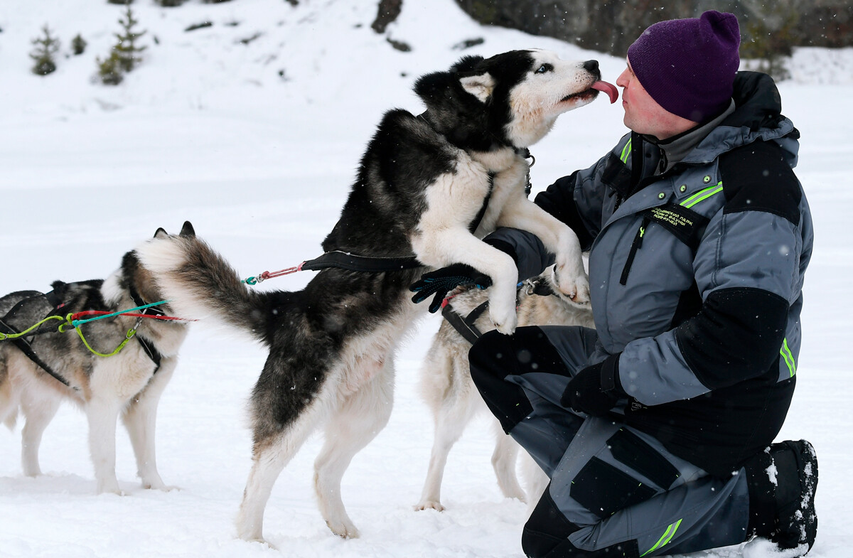 Un husky con il suo padrone 